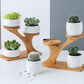 Succulent Pots & Bamboo Shelf